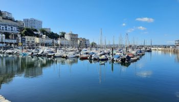 Serene marina with yachts docked on a sunny day, surrounded by waterfront buildings and clear blue skies
