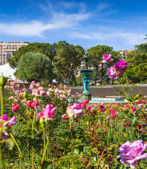 Vibrant rose garden with a fountain under a clear blue sky, surrounded by lush greenery and distant buildings