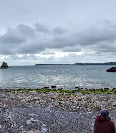 Coastal landscape with rocky shoreline and cloudy sky at Anstey's Cove, Torquay, England