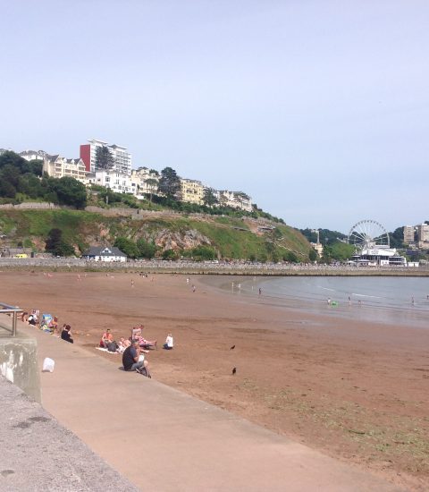 A scenic view of Torquay beach with people relaxing on the sand, the hillside, and a Ferris wheel in the background