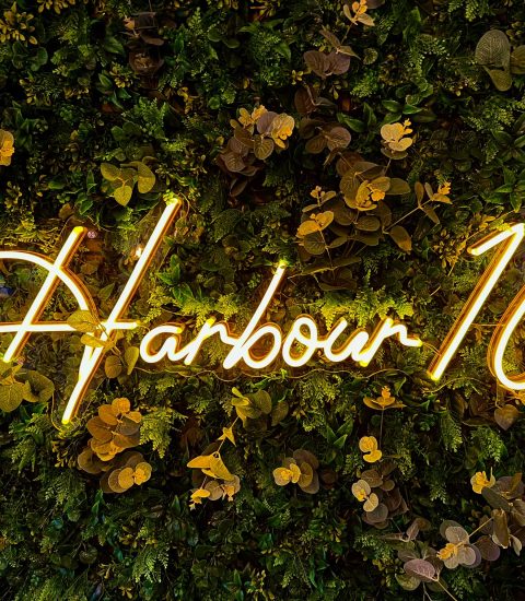Neon sign reading Harbour 16 against a lush green foliage wall for a modern, natural decor theme