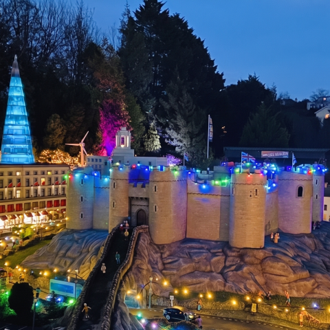 Model village illuminated at night with colourful lights, featuring a miniature castle and buildings surrounded by trees