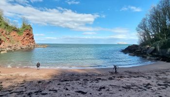 Secluded beach with red cliffs, people walking dogs, and a cruise ship on the horizon under a clear blue sky