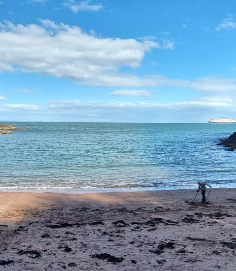 Secluded beach with red cliffs, people walking dogs, and a cruise ship on the horizon under a clear blue sky