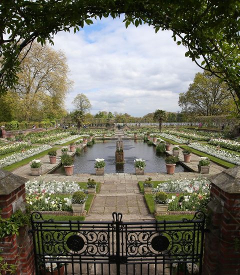 Lush formal garden with ornate gate, symmetrical pathways, and reflective pond under a cloudy sky