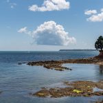 Coastal view of Dawlish with clear blue sky, serene sea, rocky shore and lush greenery in the background