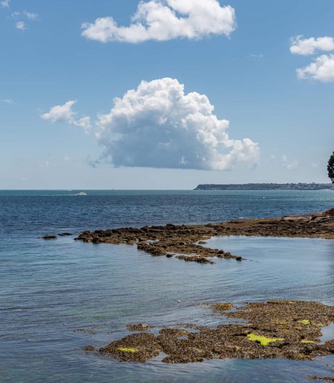 Coastal view of Dawlish with clear blue sky, serene sea, rocky shore and lush greenery in the background