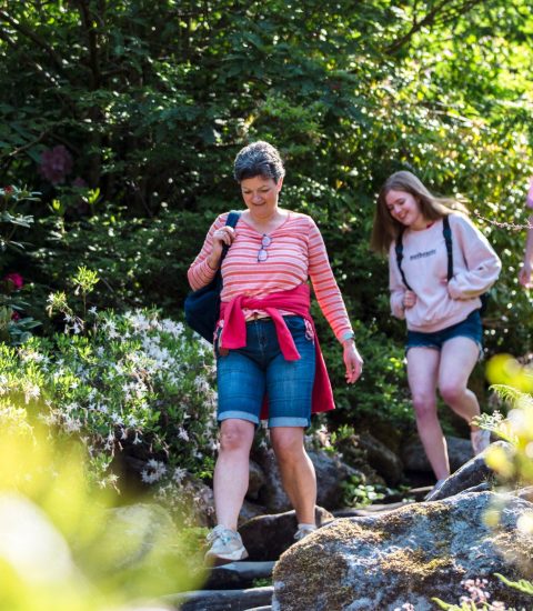 Group enjoying a walk through a lush garden with colourful flowers and sunlight filtering through the trees